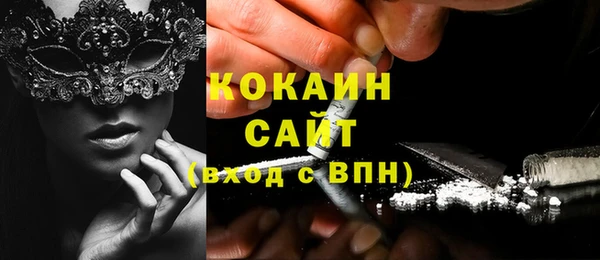 крисы Бронницы