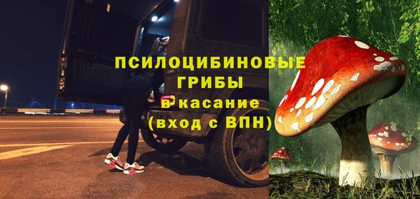 крисы Бронницы