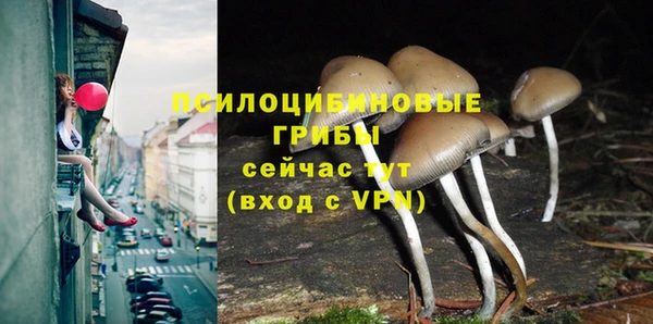 скорость Бородино