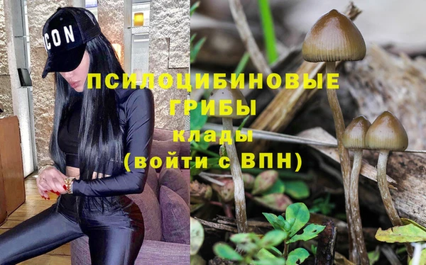 молекула духа Бугульма